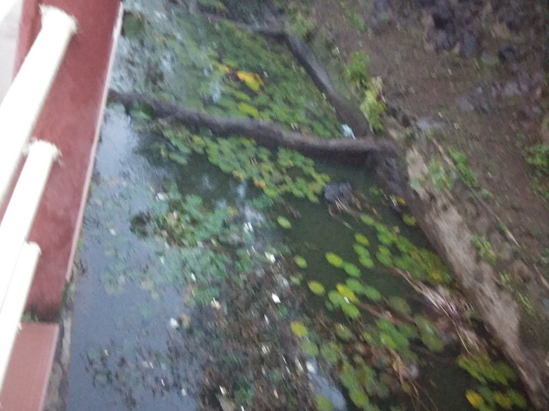 Parnera Hill-Parnera必去景点