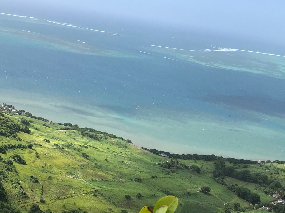 Montagne Du Lion-Vieux Grand Port必去景点