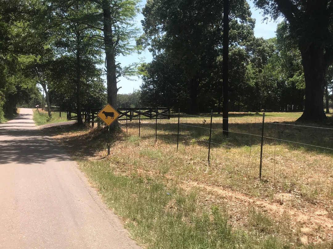 The Waldo Way Dairy Farm-Mineola必去景点