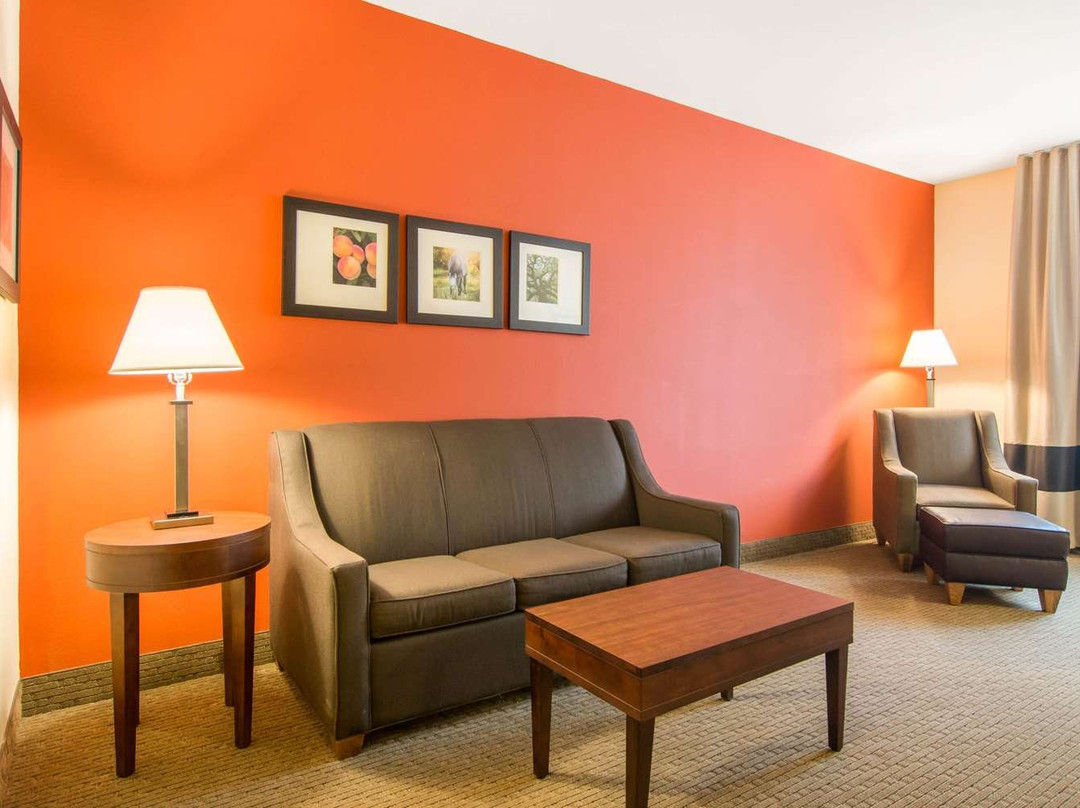 Comfort Inn & Suites主图