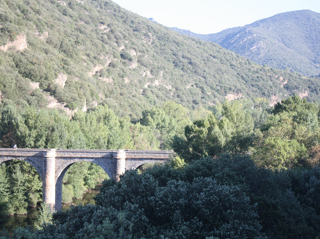 Mountains and Maps-Causses et Veyran必去景点