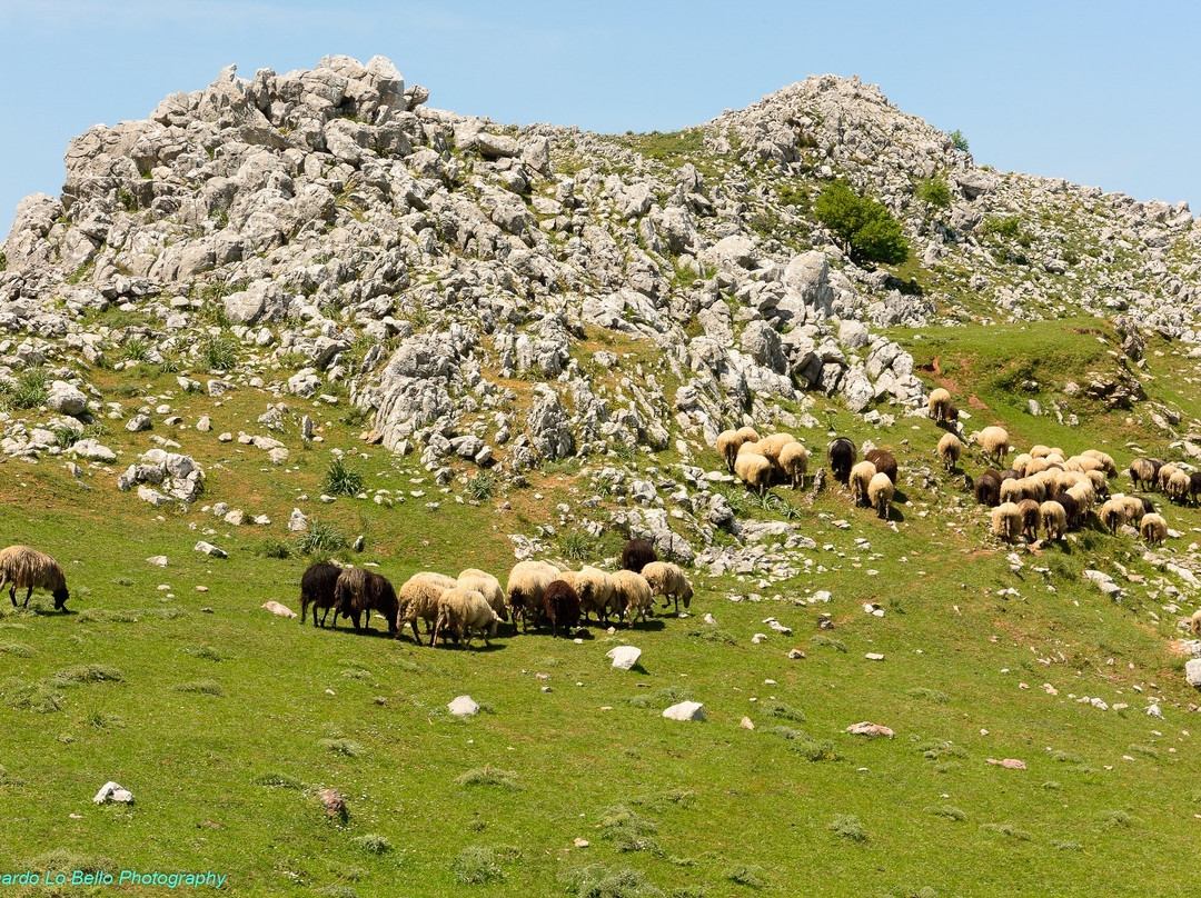 Rocche del Crasto景点图片