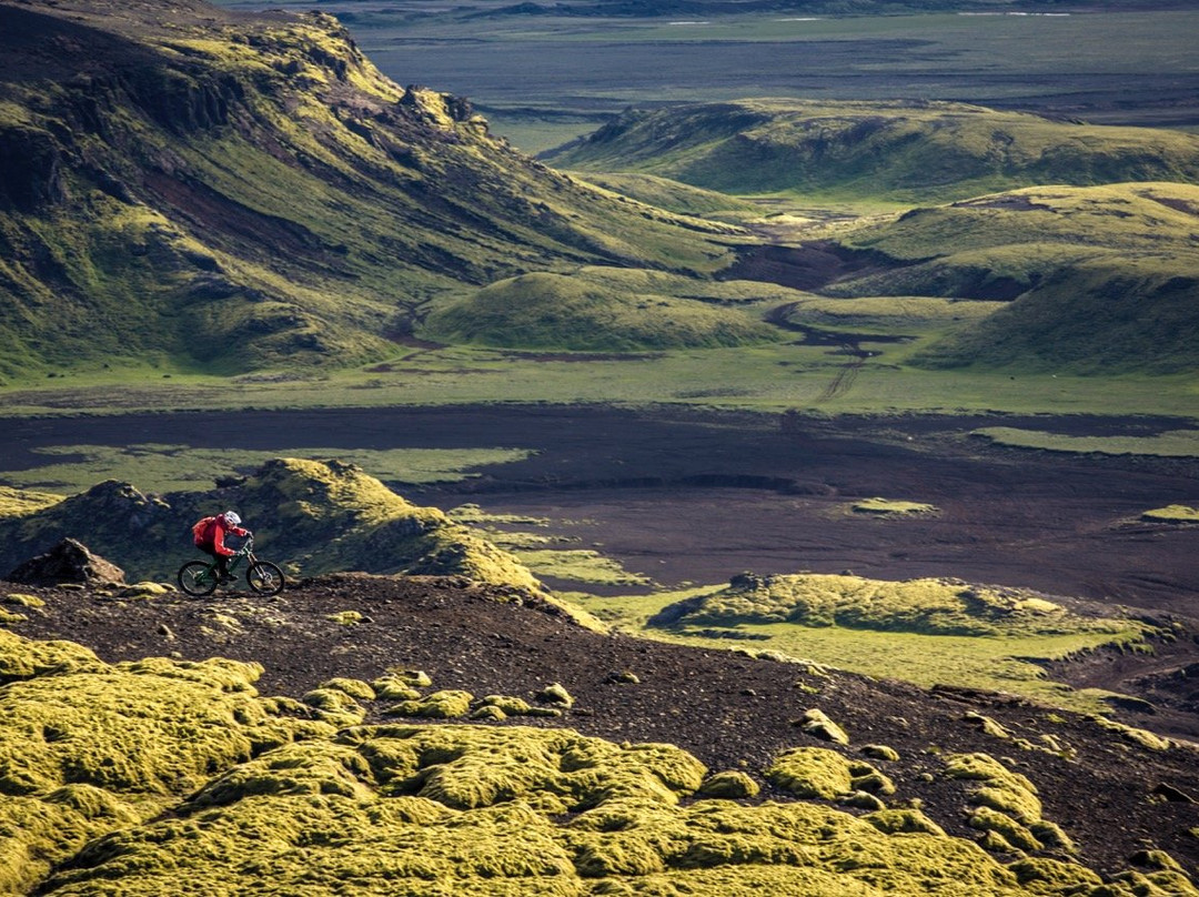 Icebike Adventures景点图片