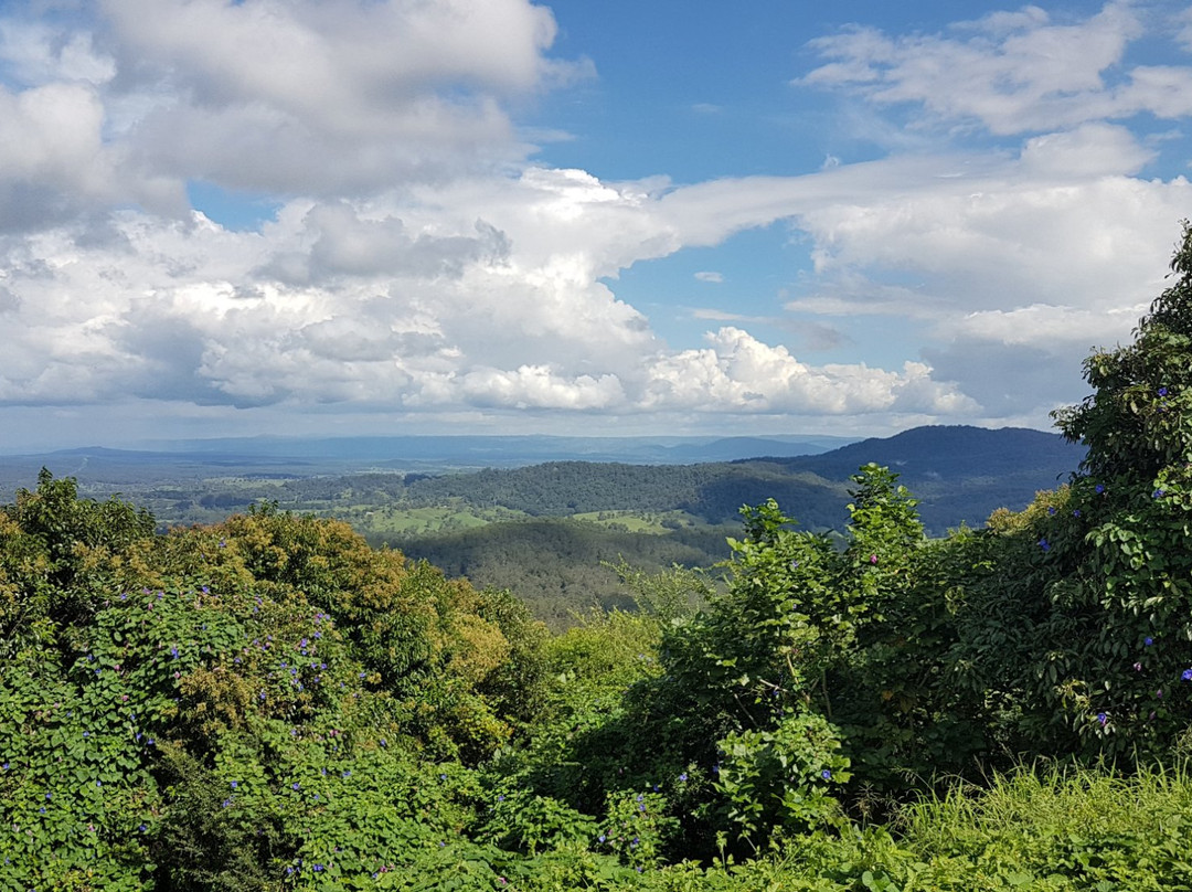 Conondale旅游攻略图片