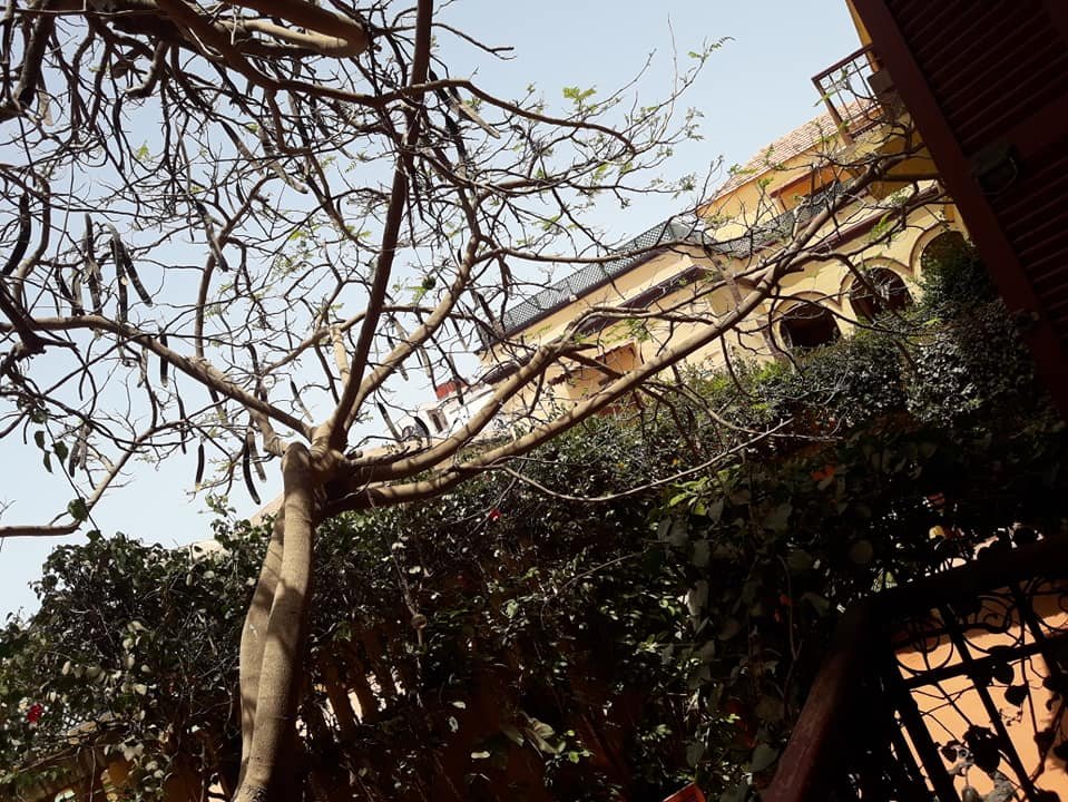 La Maison Rose-官方