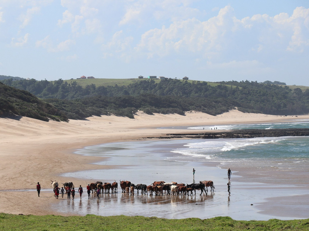 The Haven Hotel主图