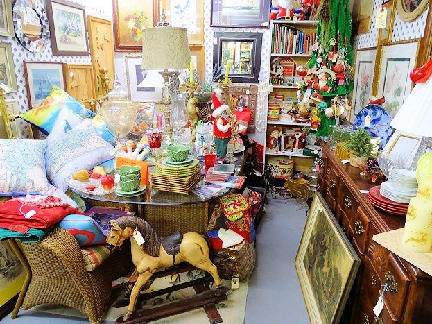 Island Treasures-费尔南迪纳岛必去景点