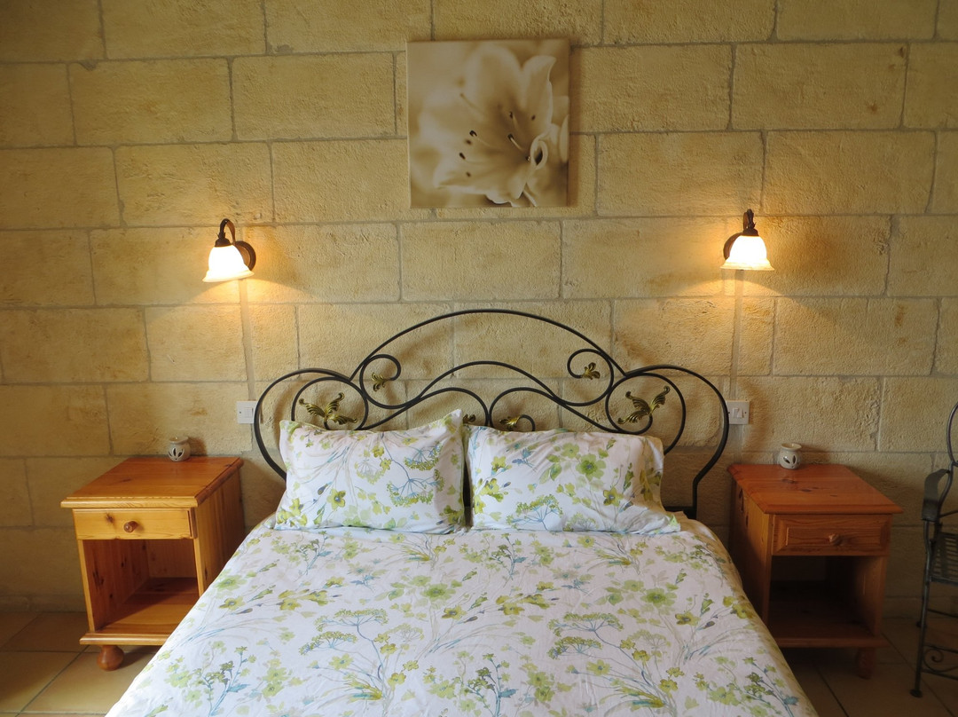 Orchids House Bed and Breakfast主图