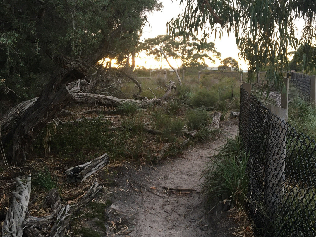 Royal Avenue Park Playground景点图片