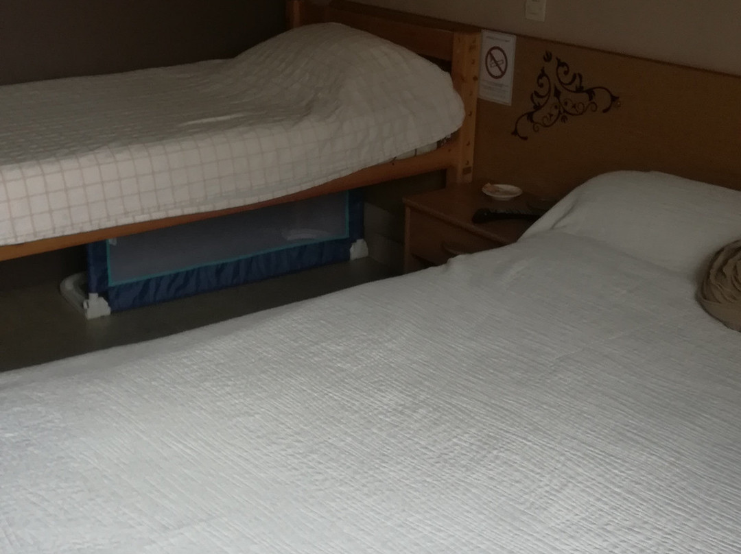 Hôtel de la Gare主图