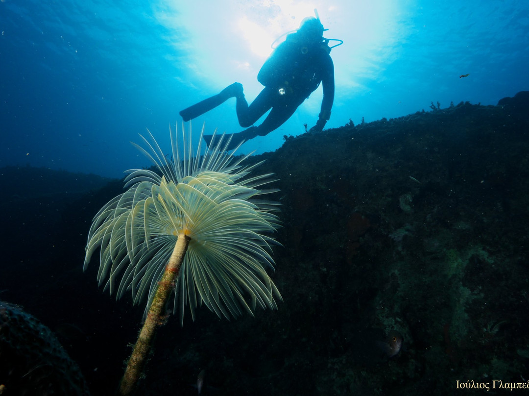 Blue Adventures Diving-干尼亚必去景点