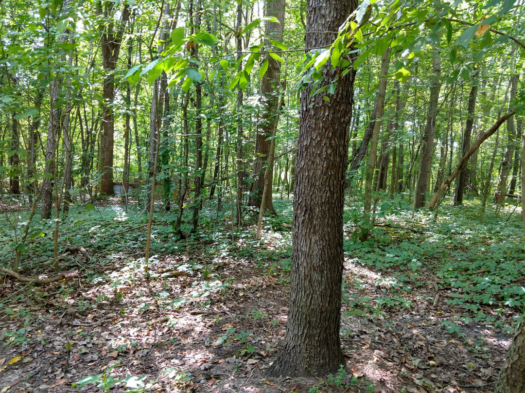 DarkFire Airsoft-Coldwater必去景点