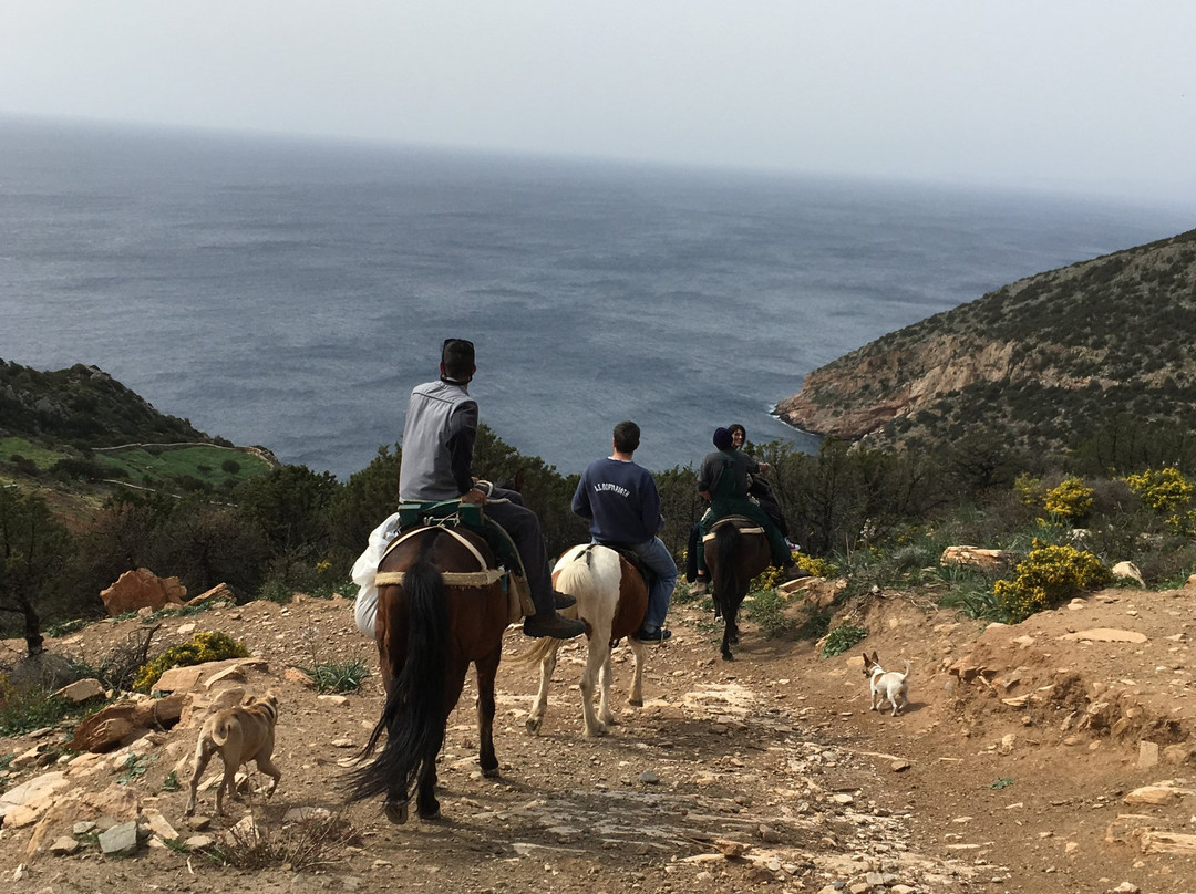 Sifnos Horseriding景点图片