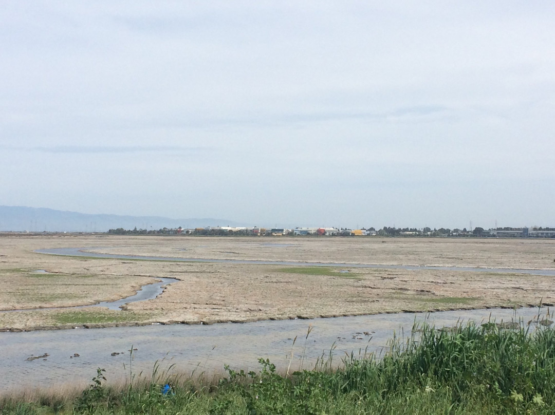 Bedwell Bayfront Park-门洛帕克必去景点