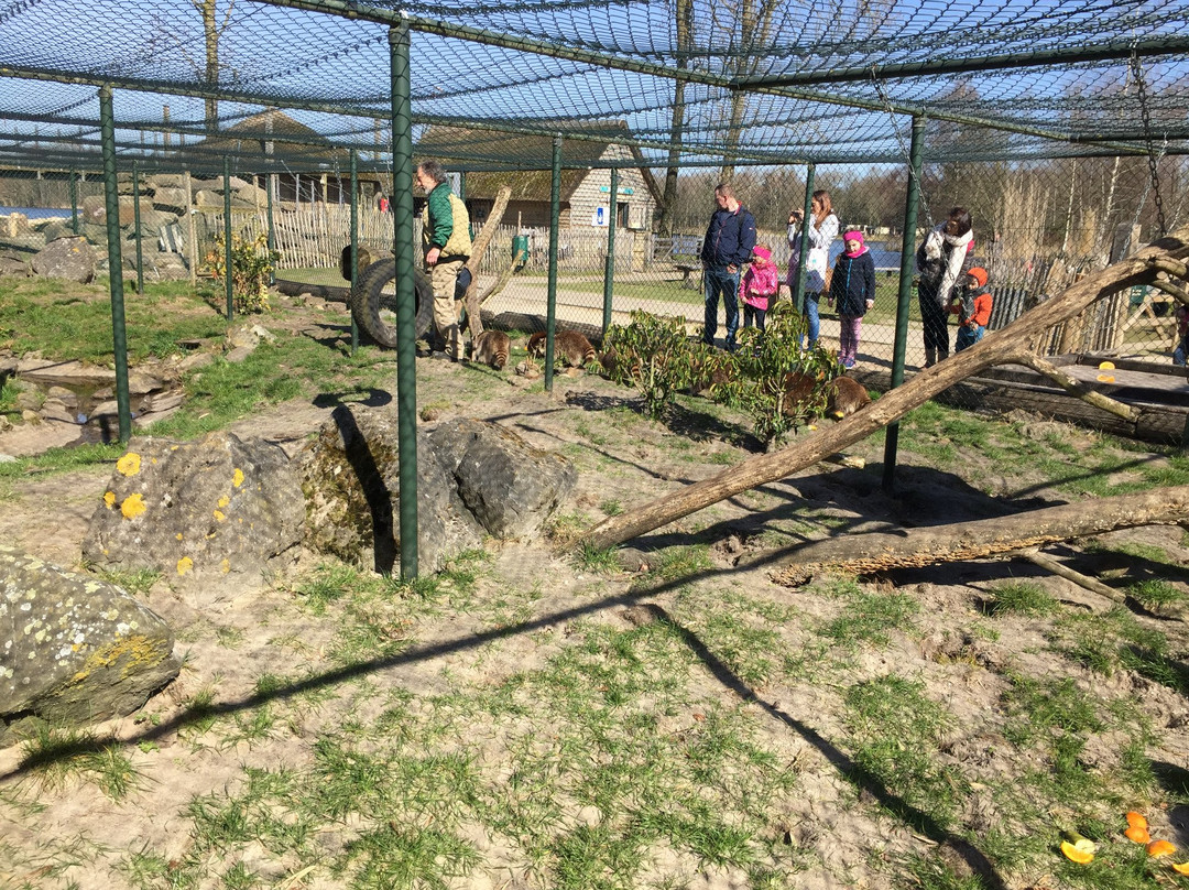 Center Parcs De Huttenheugte主图