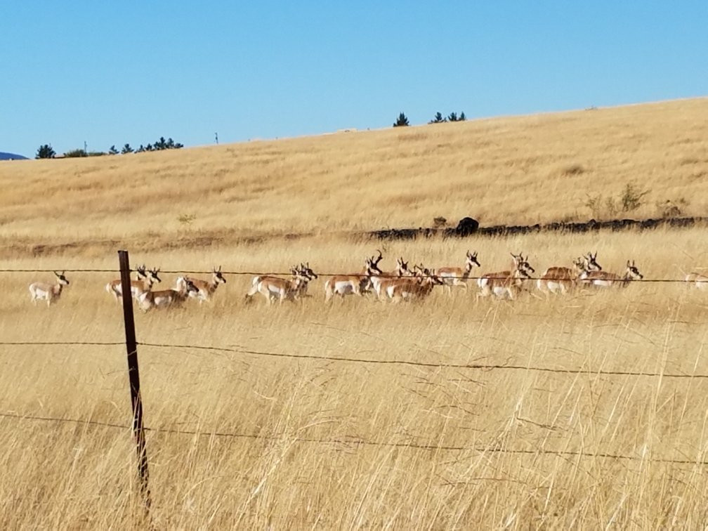 Xanadu Ranch GetAway / Private Guest Rooms / Guest Ranch & Horse Motel主图