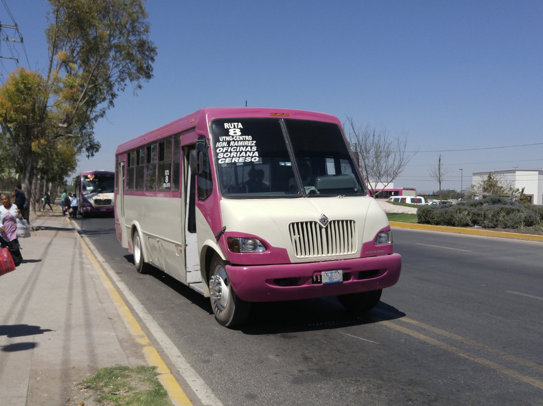 Tianguis De Los Martes-圣米格尔护城必去景点