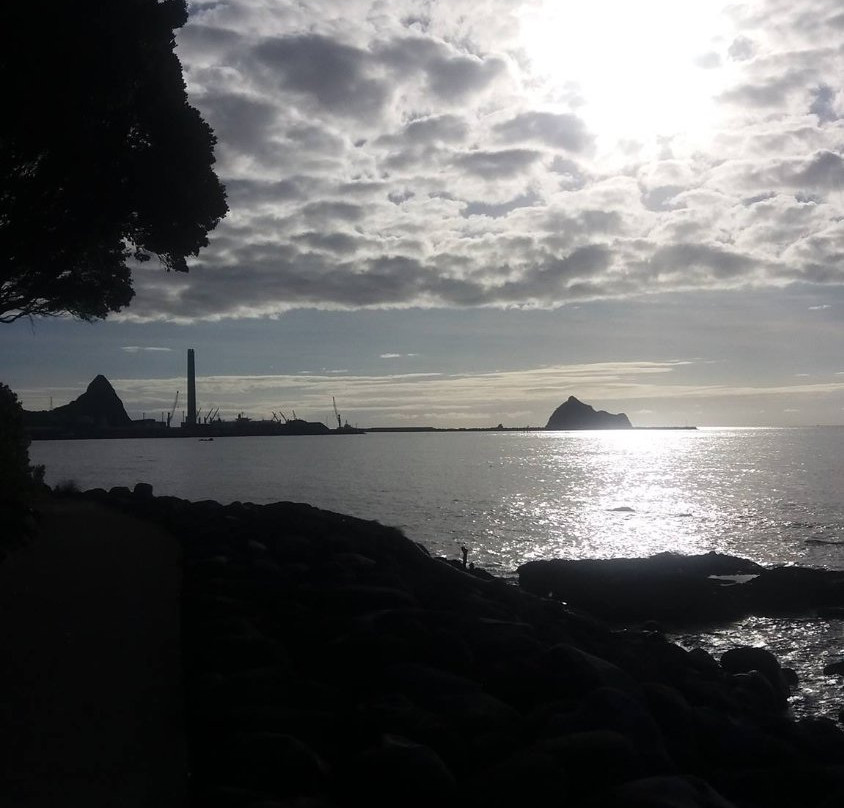 Kawaroa Park-新普利默斯必去景点