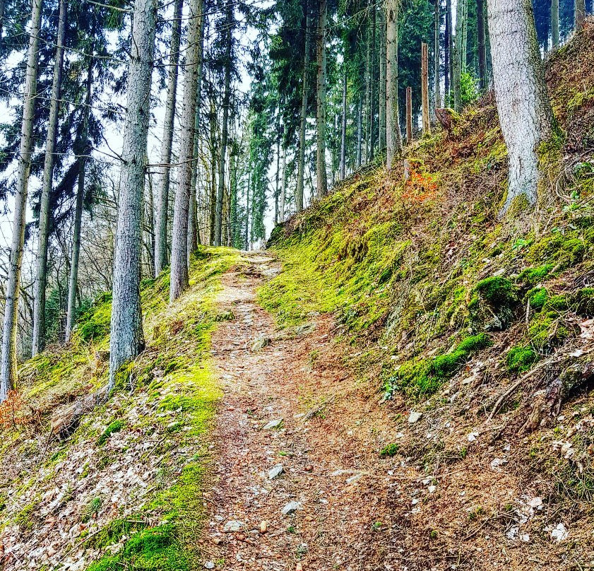 Circular Walk Clervaux-Clervaux必去景点