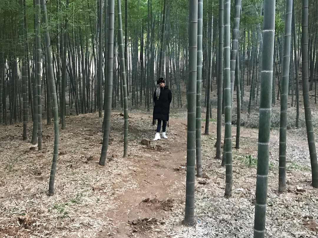 兴福寺-常熟市必去景点