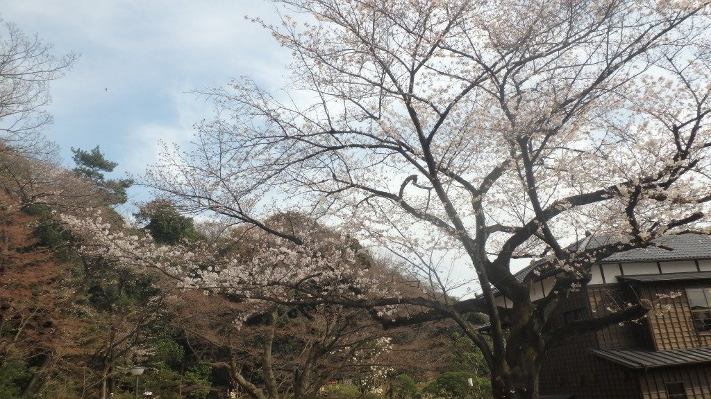 Higo-Hosokawa Garden-文京区必去景点