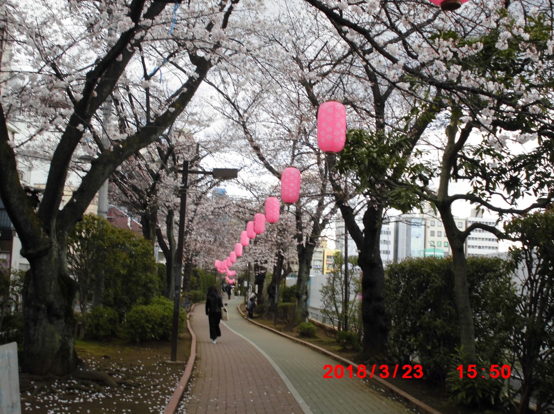 Kameidoryokudo Park-Kameido必去景点