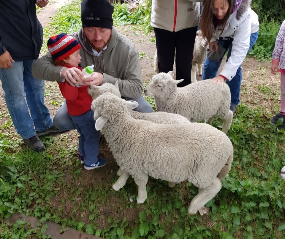 Patagonia Trip Planner-Coyhaique必去景点