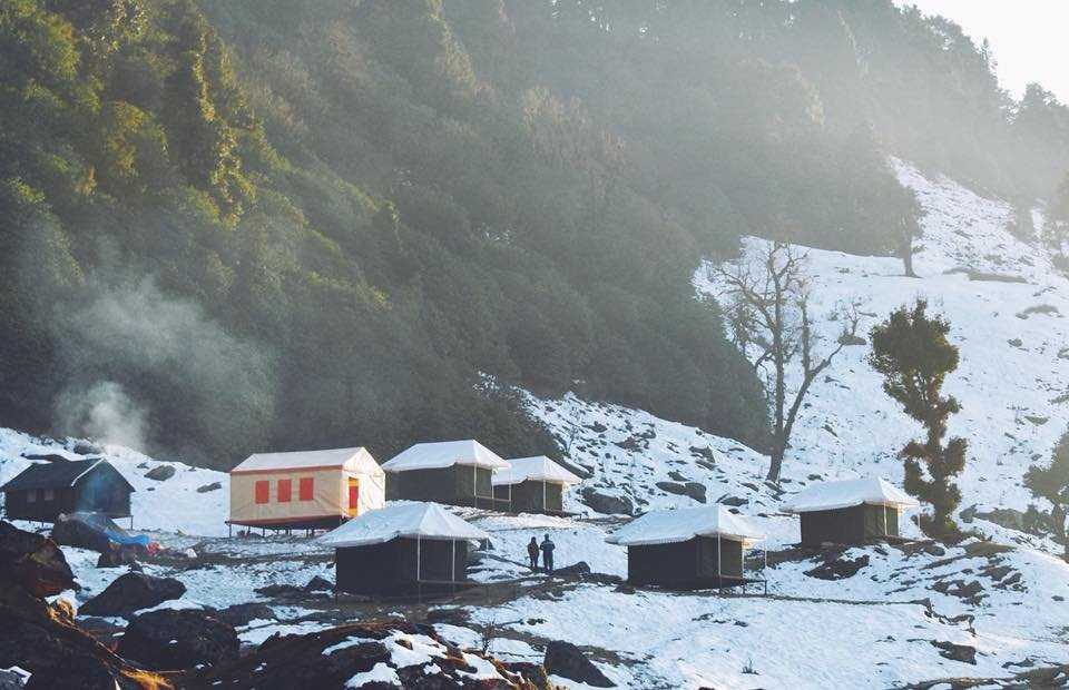 Chopta Wild Life Resort
