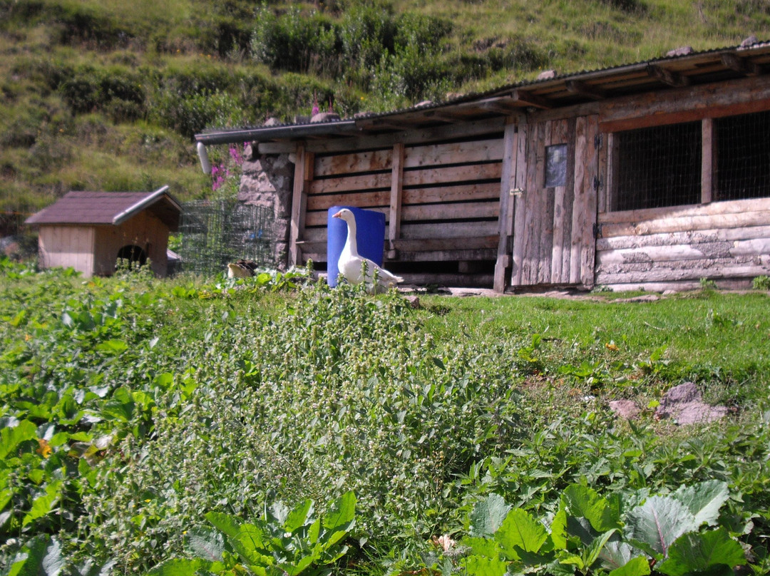 苏斯公寓式酒店主图