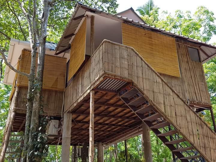 Ponmudi Valley Resort主图