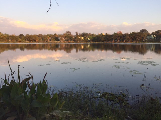 Naung Yar Lake景点图片