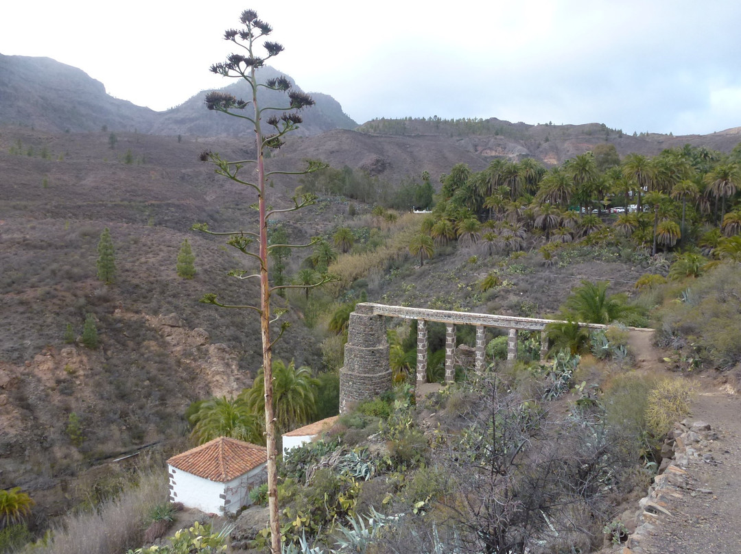 Molino de Cazorla景点图片