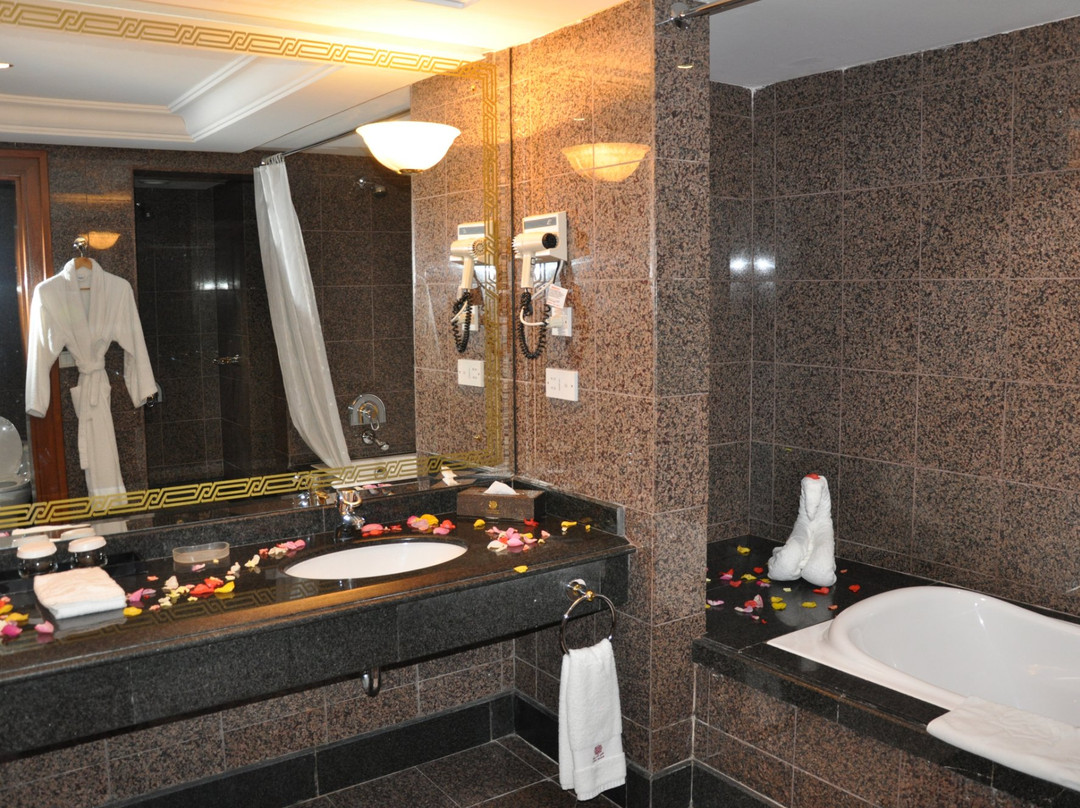 Abha Palace Hotel主图