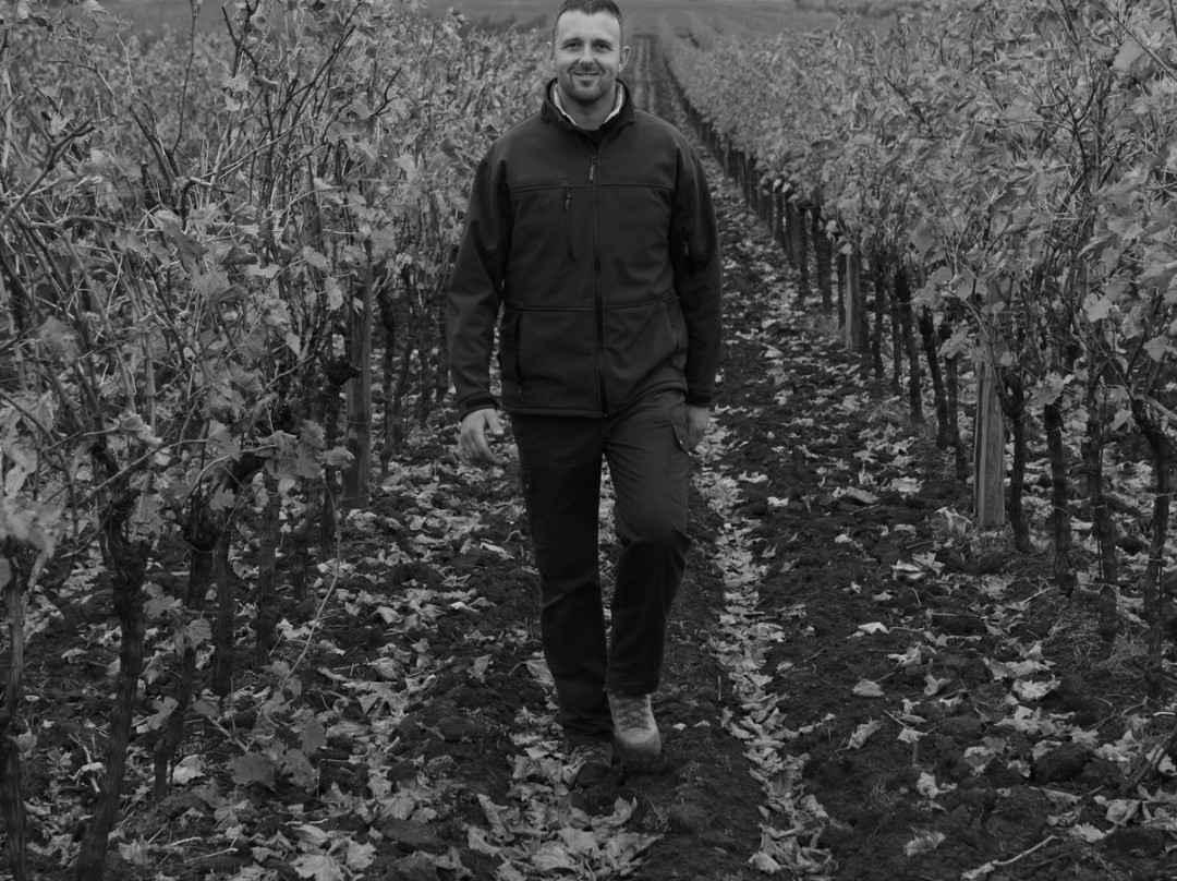 Moreno Ivancic Winery-诺维格拉德必去景点