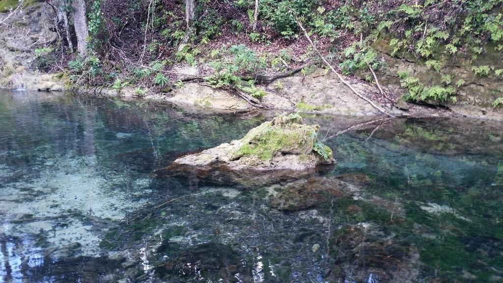 Parque Natural Rancho Querete景点图片