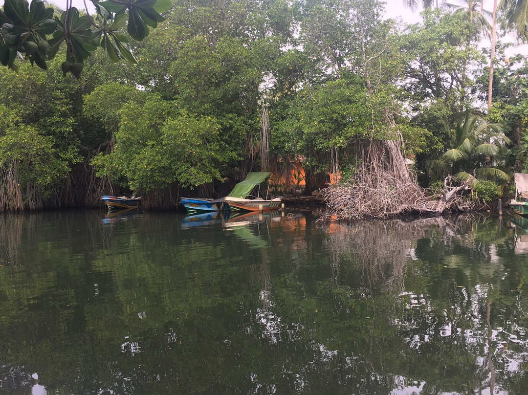 Muthumuni Ayurveda River Resort主图