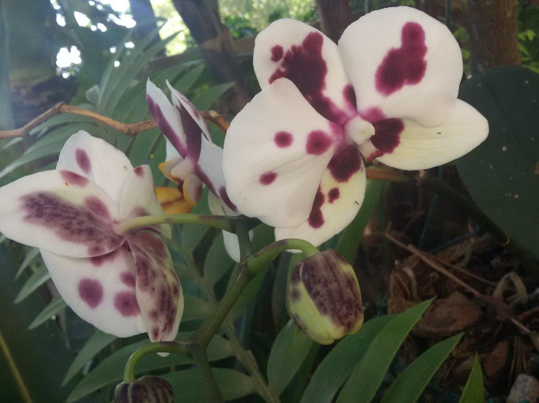 Eden River Lodge主图