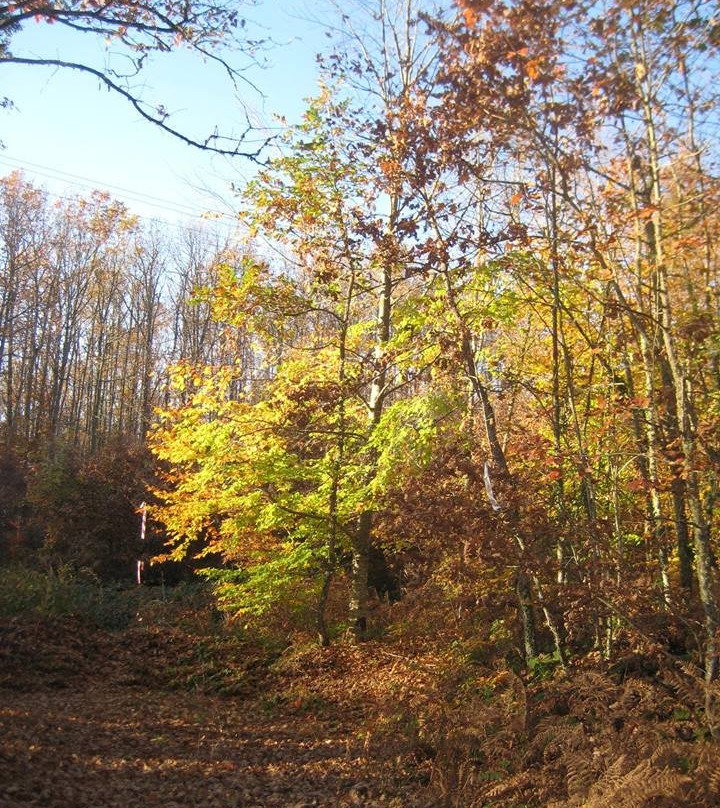 Oikia Alexandrou Traditional Inn主图