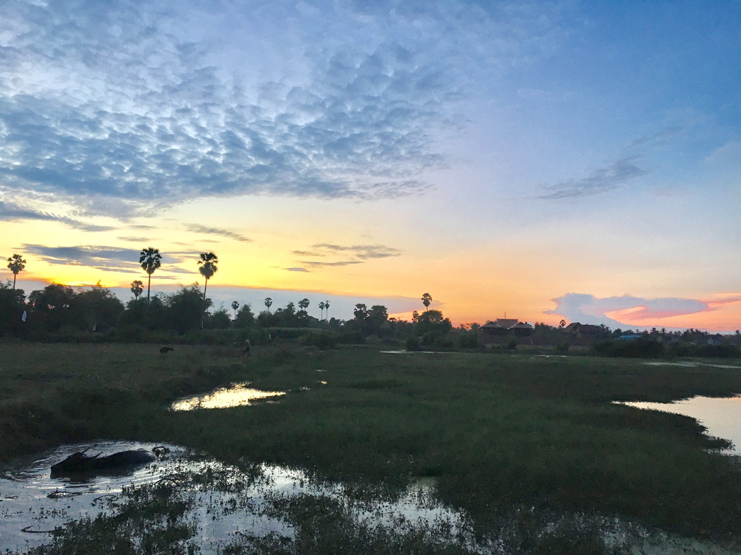 Green Life Cottage主图