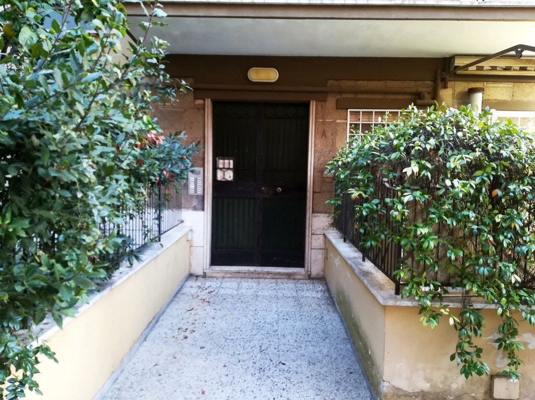 Il Fiore di Roma主图