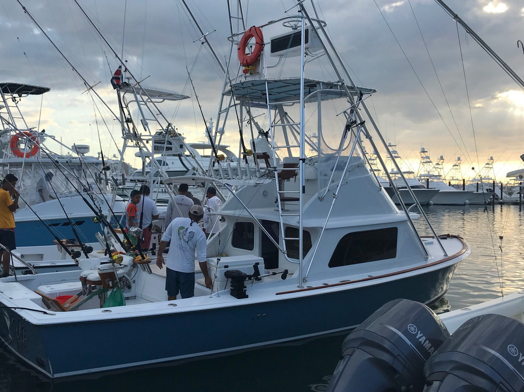 Straight Up Sportfishing景点图片