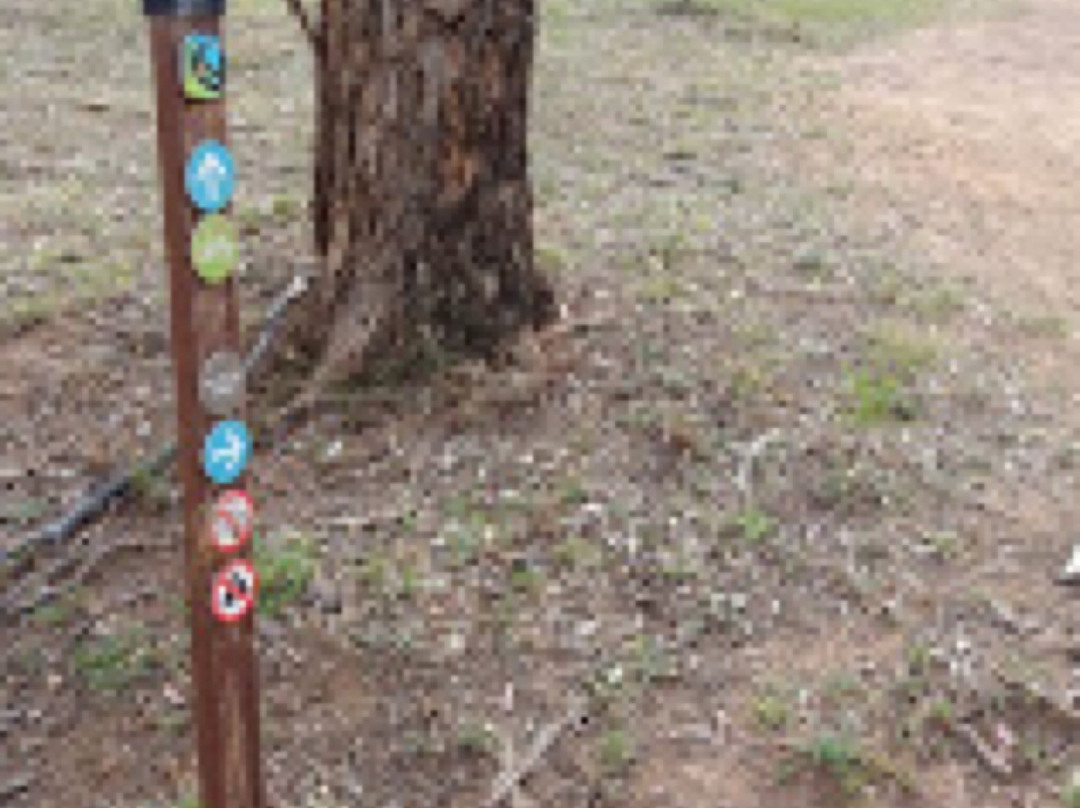 Canberra Centenary Trail-Forde必去景点