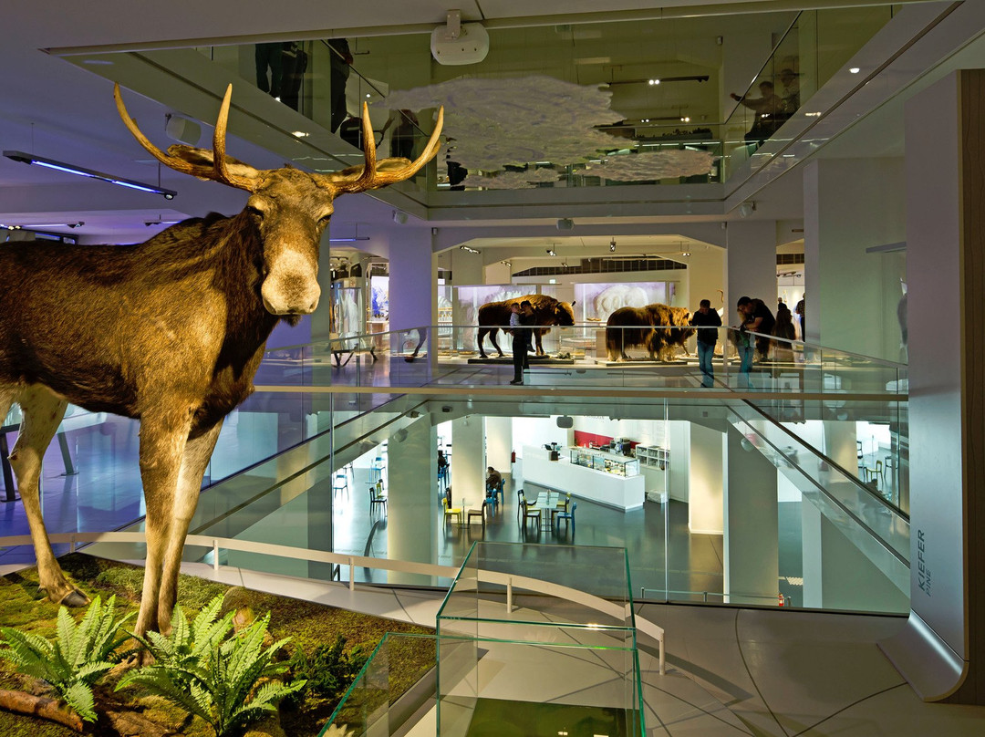 Staatliches Museum für Archäologie Chemnitz-开姆尼斯必去景点