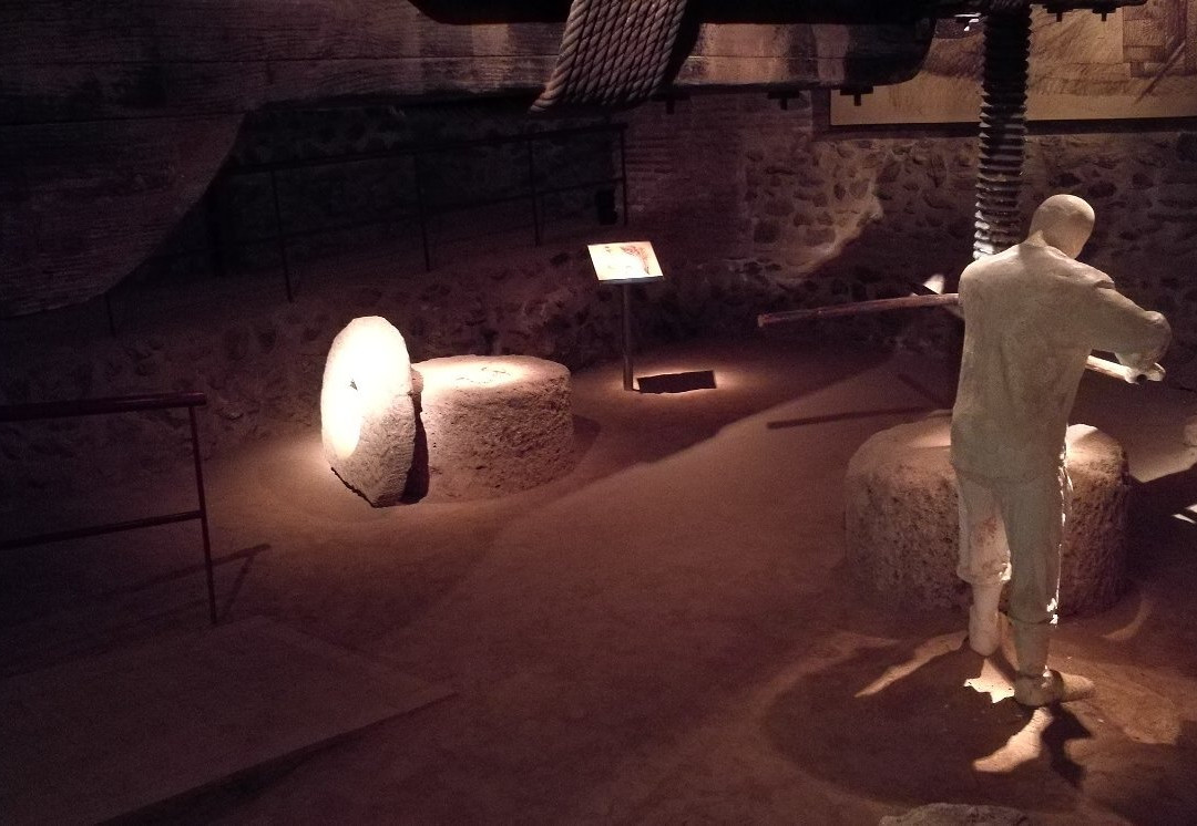 Museo Preindustrial de la Cana de Azucar-莫特里尔必去景点