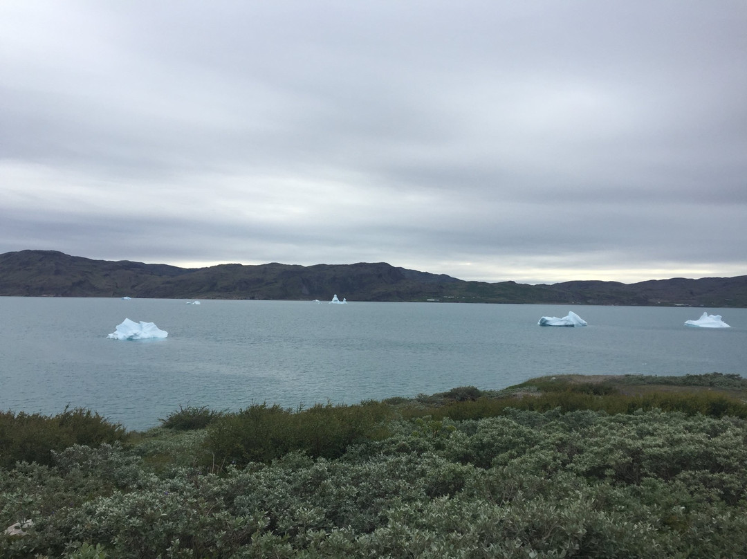 Qaqortoq餐馆和美食-Restaurant Narsarsuaq