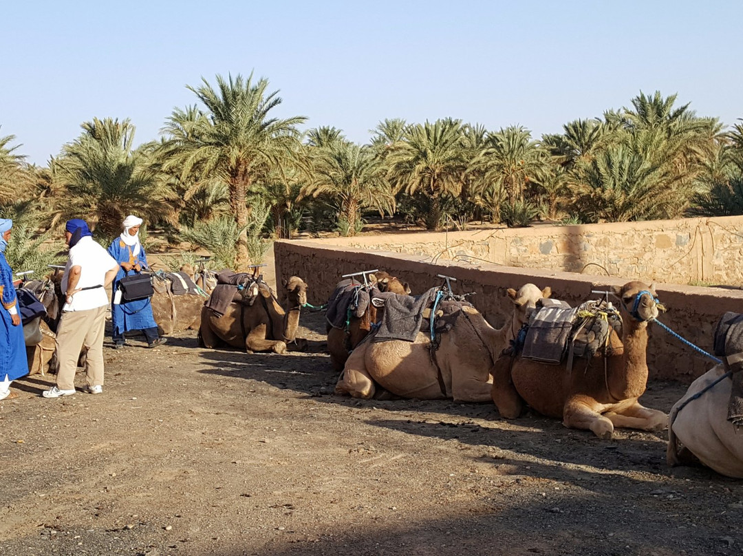 Morocco Top Travels-Erg Chebbi必去景点