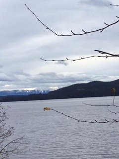 Purden Lake Provincial Park景点图片