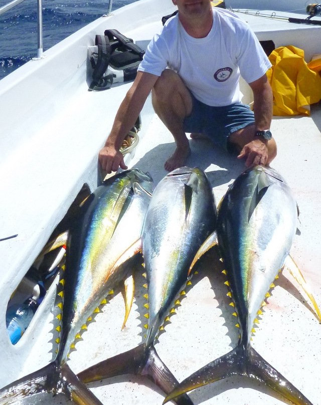 Makaira Resort Fishing-马太必去景点