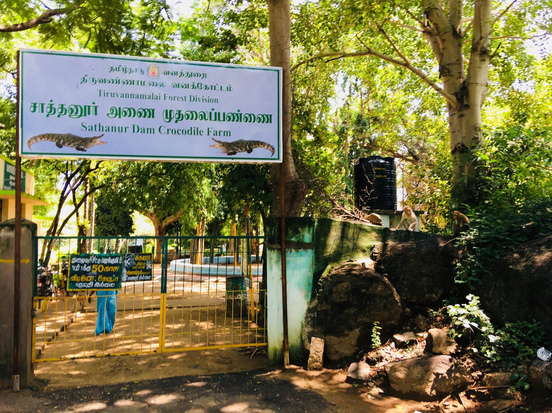 Sathanur Reservoir-Tiruvannamalai必去景点