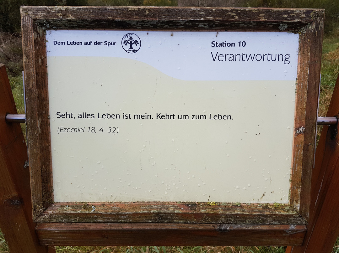 Auf dem Schöpfungspfad "Dem Leben auf der Spur" Tour